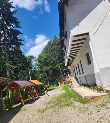 Cabana Valea Bradului