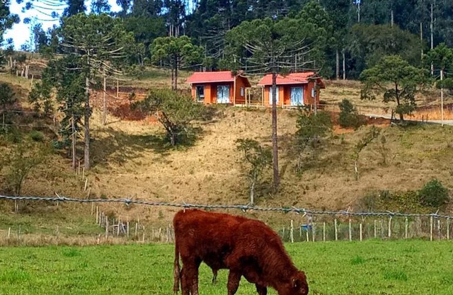 Cabanas Observatório