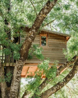 Cabane Perchée avec Jacuzzi, au Coeur du Luberon
