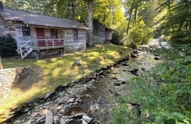 Cabin 2 - 1 Bedroom Cabin with Campbell Creek view in Pioneer Village