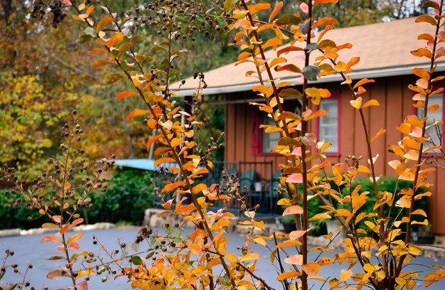 Cabin 2-bdrms with Pool and Boat Dock Access on Norfork Lake, Arkansas