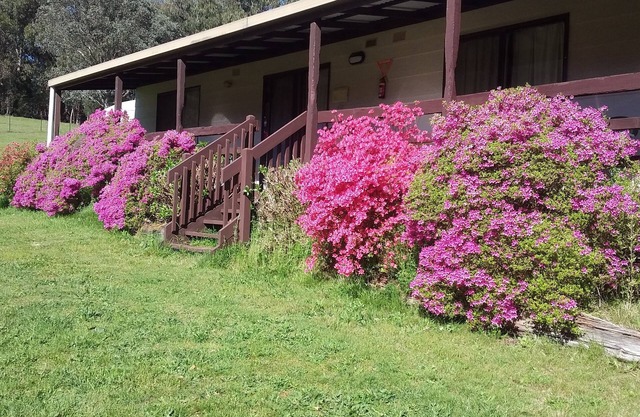 Cabin 3-Emerald Park