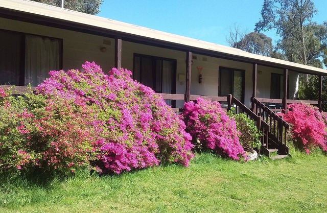 Cabin 4 - Emerald Park