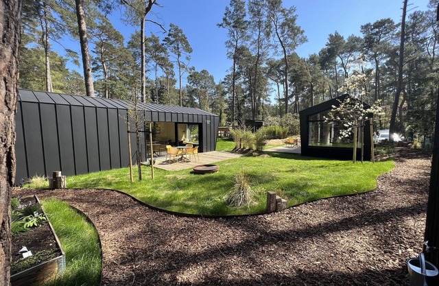 Cabin East in the forest & sea!