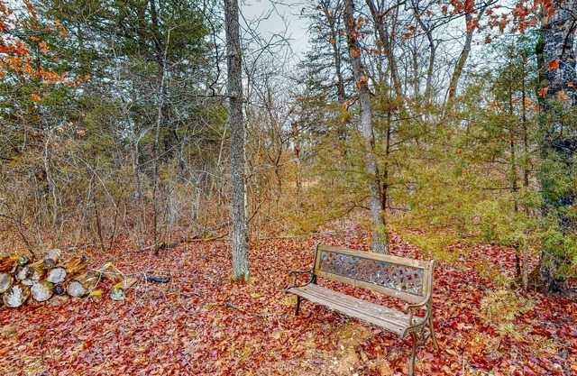 Cabin in quiet location with jetted tub, fireplace, AC & deck