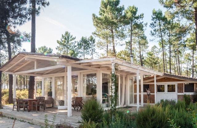 Cabin in the middle of nature
