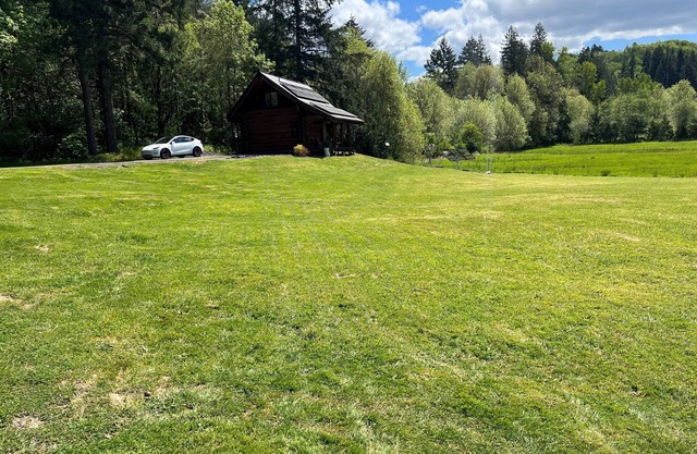 Cabin In The Wildwood