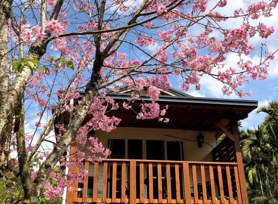 Cabin of Sun Moon Lake