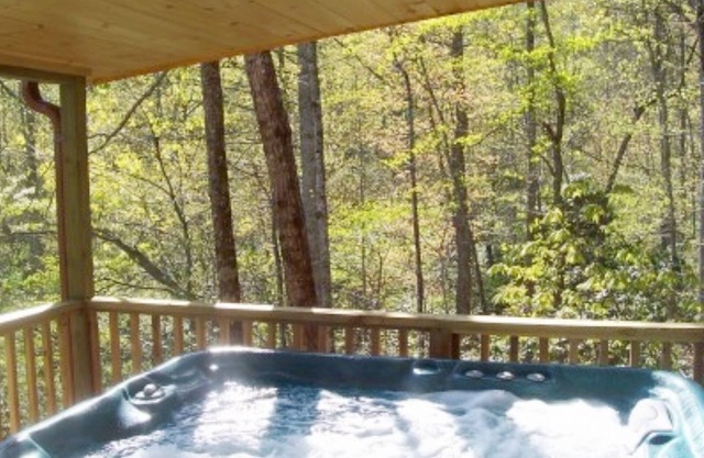 Cabin on the Hill-Peaceful 1BR 20-Acre Rural Retreat-HotTub&WiFi near Asheville