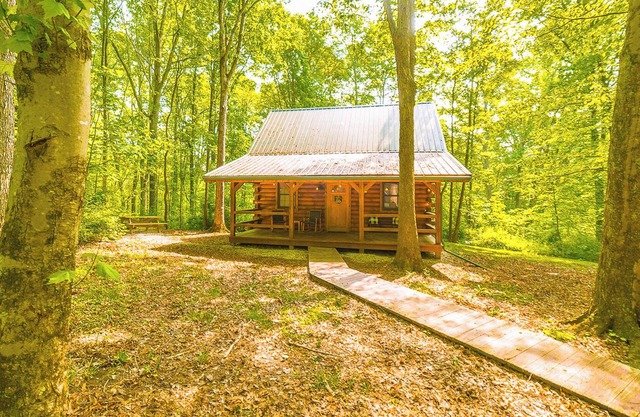 Cabin w/Hot Tub and Fire Pit