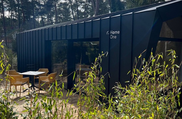 Cabin West in the forest & sea!