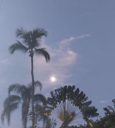Cachanga