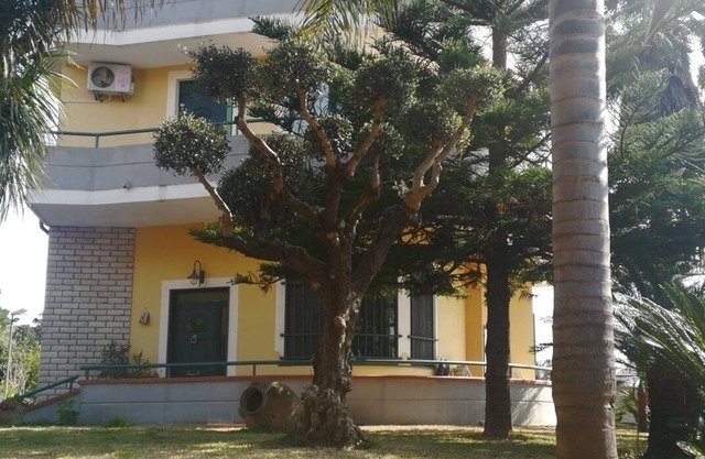 Callimaco's Home - DE LUXE