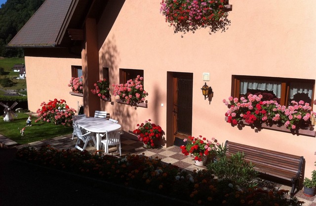 Calm, rest and relaxation on the program with this gîte located in the heart of Alsace