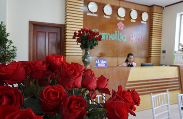 Camellia Hotel