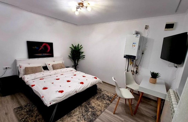 Camera/garsoniera in regim hotelier
