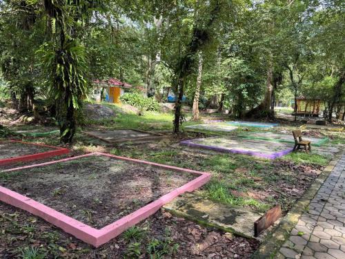 Camp Site