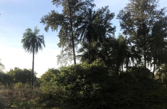 Campement les Antilles