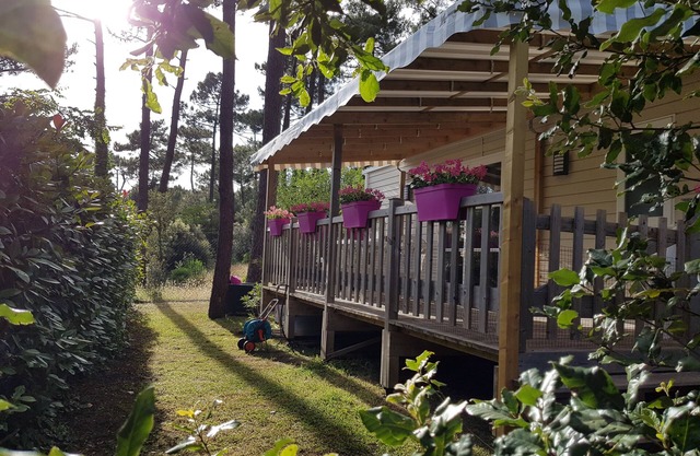 Camping Bonne anse plage 4* MH air-conditioned luxury lodge