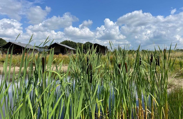 Camping De Heerlijkheid Vorenseinde