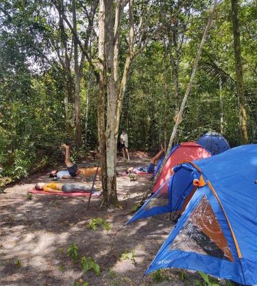 Camping na Floresta
