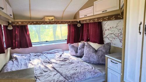 Camping Poiana Stelelor