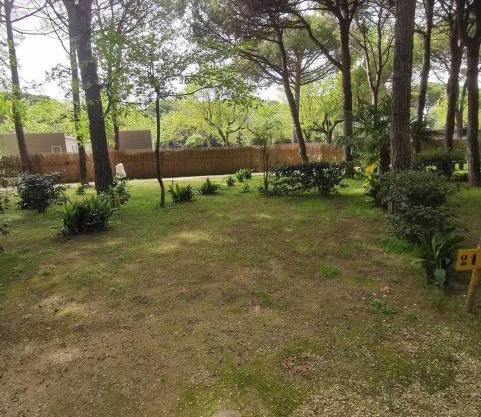 Camping Valdor Camper & Pitch