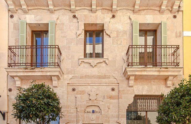 Can Blau Homes