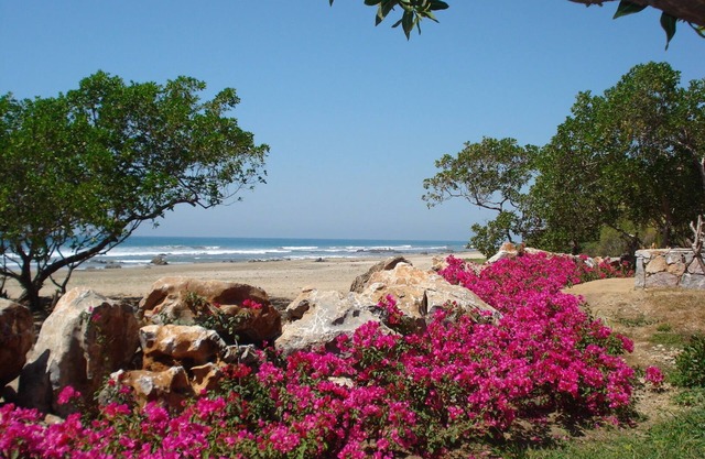 Cangrejo y Toro Luxury Oceanfront Villa n Privacy on Seven Acres