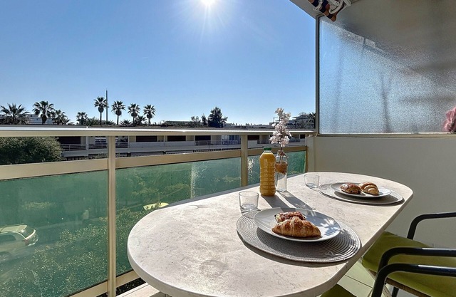 Cannes: Palm Beach, quiet apartment, terrace, secure residence