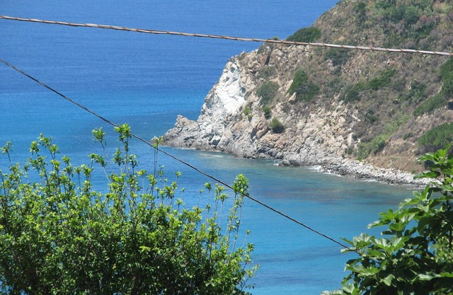 Capo Vaticano: house /villa with large garden, 300 meters from the sea