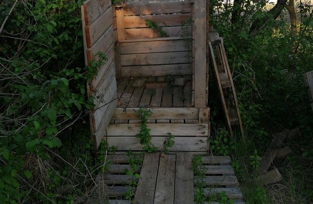 caravan in my garden