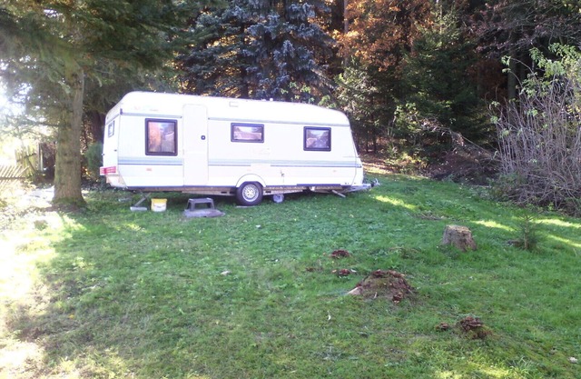 Caravan right on the edge of the forest ...