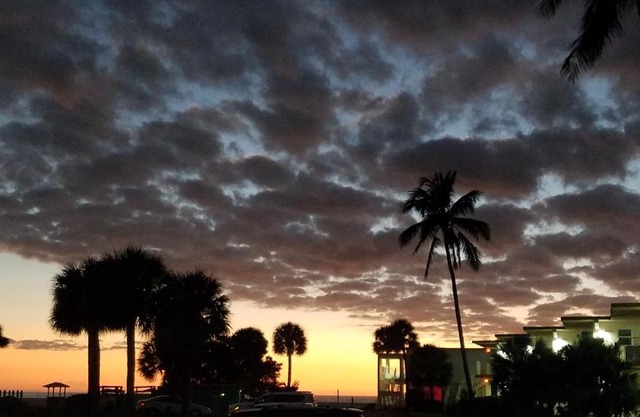 Carousel Beach Inn