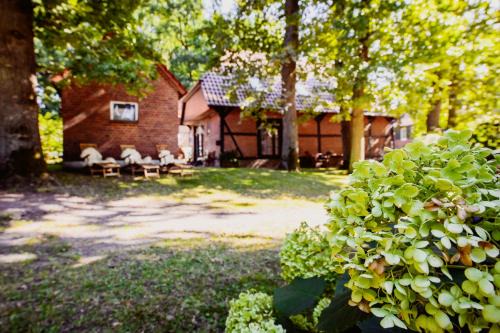 Carpe Deimern in der Lüneburger Heide