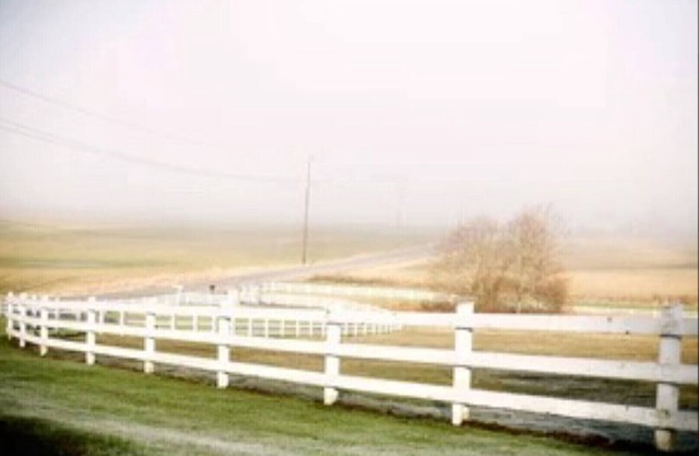 Carriage Hill Farm, 1 bed, 1 bath - 14 Night Minimum