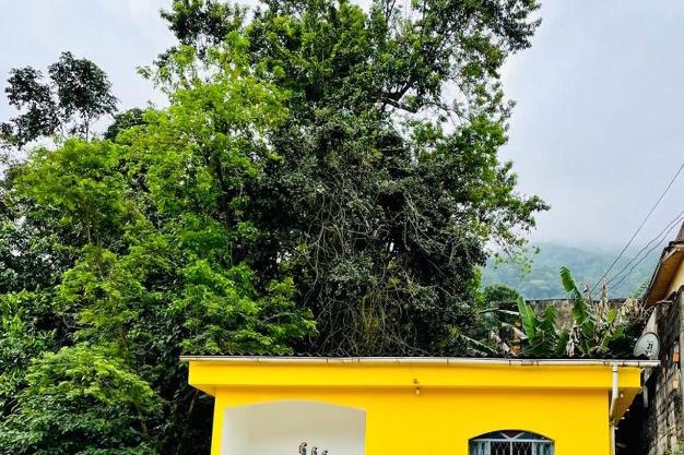 Carvalho de Muriqui