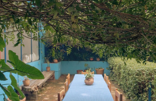 Casa Centralita: central San Cris, with views, yard, fire pit + tree house!
