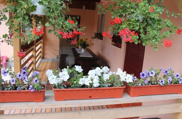 Casa Andreia