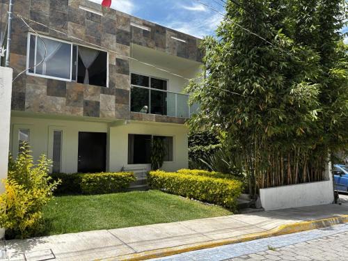 Casa Bambú
