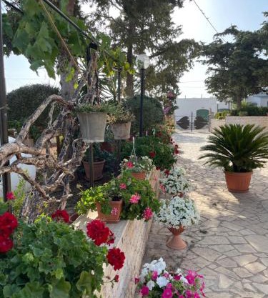 casa Belcolle