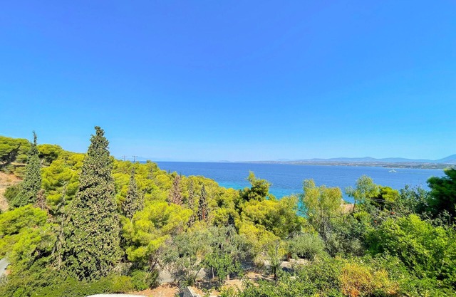 Casa Bianca Studio Apartment with garden view