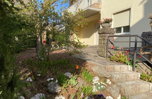 Casa Bosco