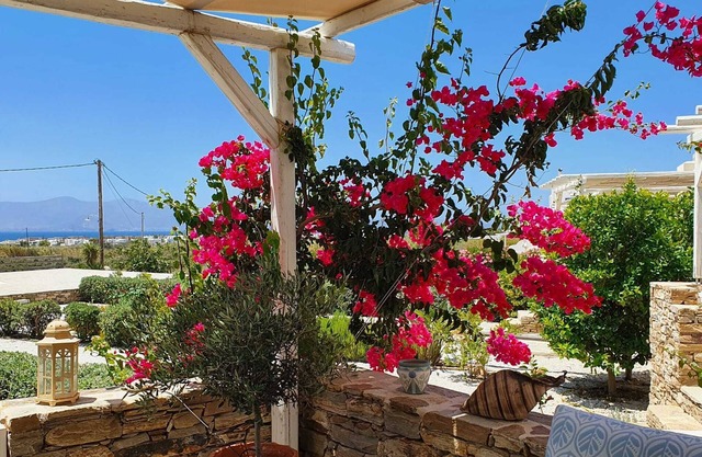 Casa Brad Naxos