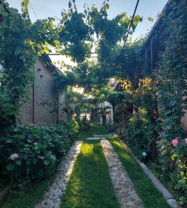 Casa Bucium