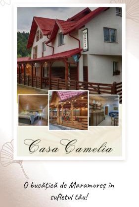 Casa Camelia