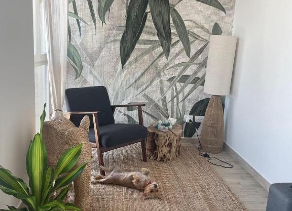 Casa Cannoni - Delizioso Appartamento Fronte Mare vista Stretto di Messina