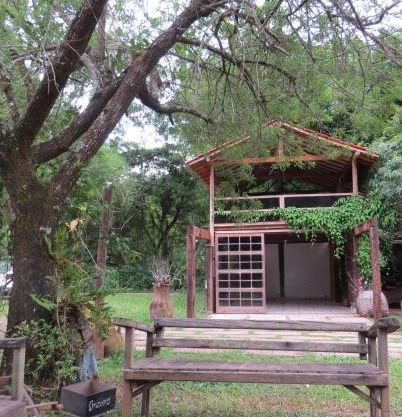 Casa da Arvore