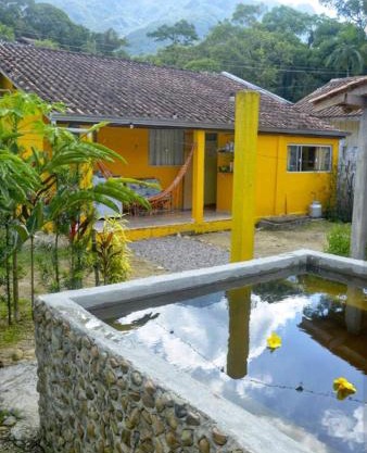 Casa da Flor