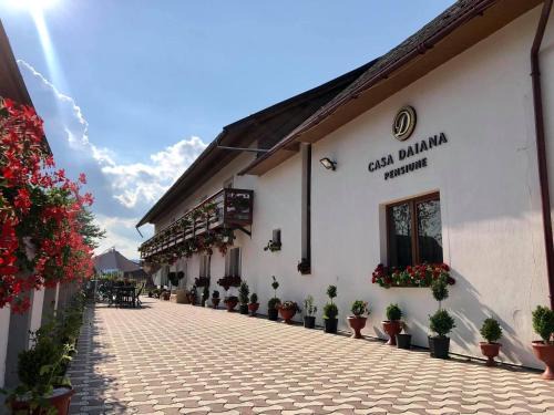 Casa Daiana
